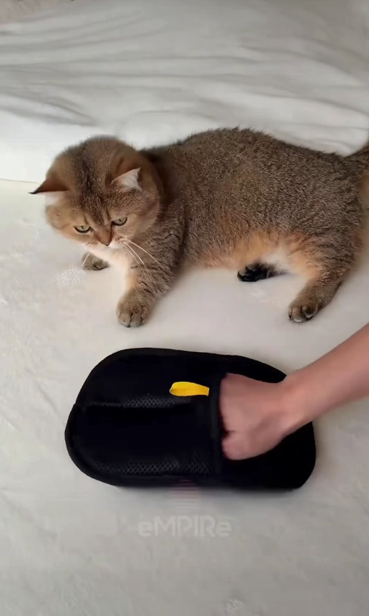 Reusable Pet Fur Remover Gloves